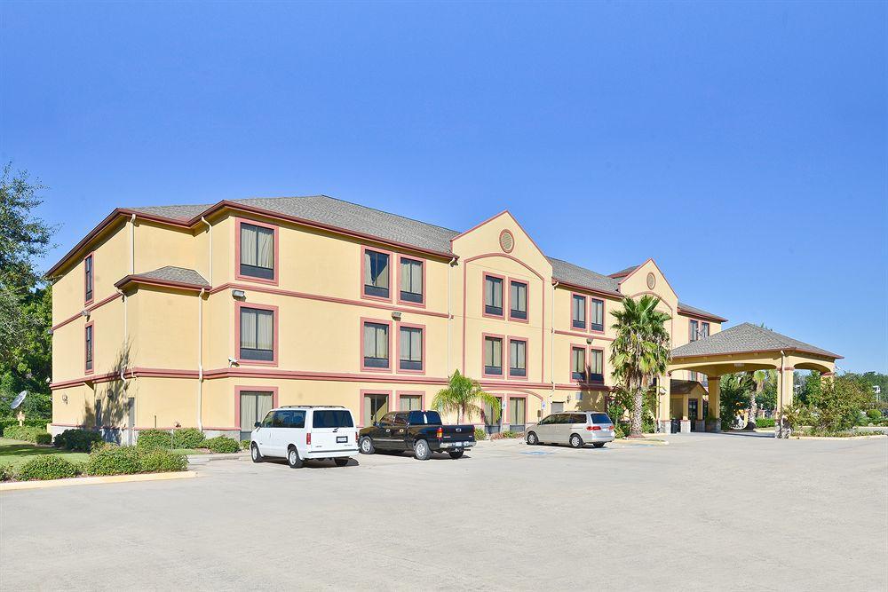 Best Western Plus North Houston Inn & Suites Westfield Dış mekan fotoğraf